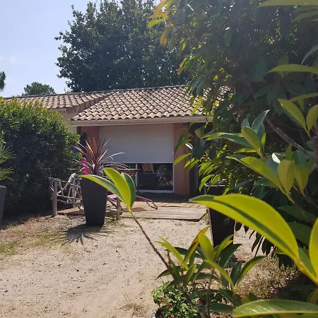 Bed & Breakfast Monta Ocean 3*