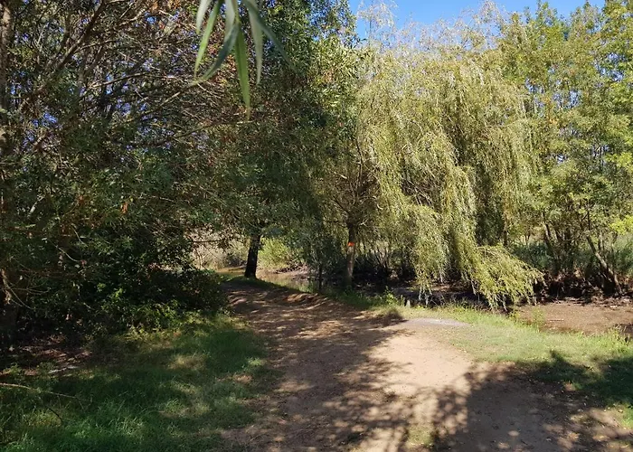 Monta Ocean 3* Vendays-Montalivet