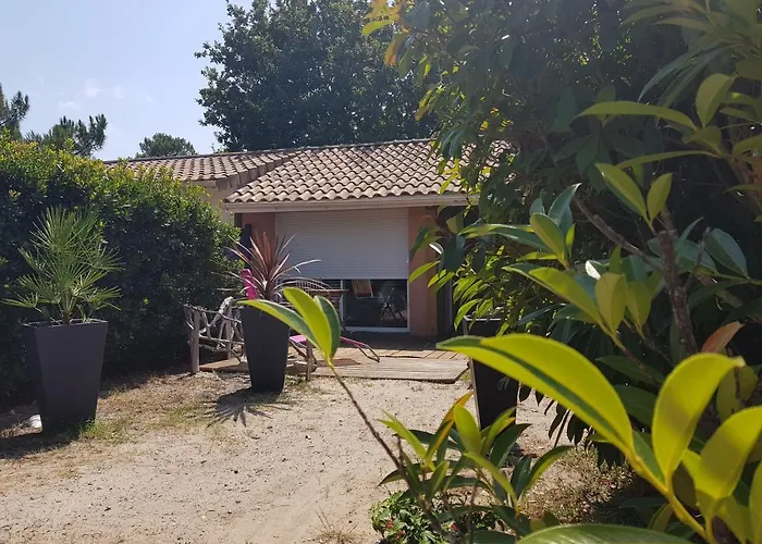 Bed and breakfast Monta Ocean 3*